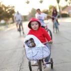 Dress Up Willow Month (Gina Lee Photography)