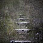 Por estas escaleras subieron los competidores de esquí.