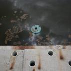 5c8b29ec250000e203ca347a