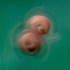 5c8a9927360000ba1a6baca6