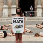 Animalistas se desnudan en Barcelona para pedir fuegos artificiales sin sonido