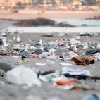 5c8a4a2f36000006186b4866