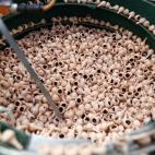 5c8ab23f240000f404a38298