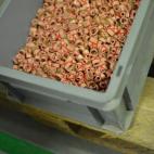 5c8ab2412400006f054c4777