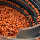 5c8ab24223000004012387ac