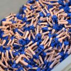 5c8ab2432500005806819257