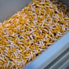 5c8ab243230000d5042387b2