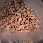 5c8ab2442500001304c97913