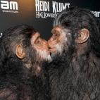 5c8b0e912500000d04c9f289