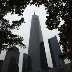 5c8b3ddb230000d504246fc5