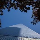 5c8b3ddb360000e01c6cc946