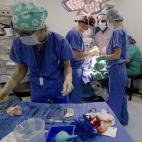 Salvar vidas es vocacional y muy gratificante en lo personal para el 94,4% de los encuestados.