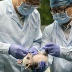 Imagen tomada el 28/08/2014.