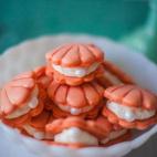 Credit: Mark Brooke Photography & Mathieu Photo