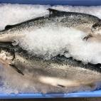 Salmón del Pacífico