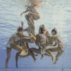 5c8a81e82000009d036f3b30