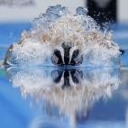 5c8b2fcd22000033001a7f4a