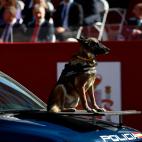 634695f61f00001d00c1a5e3