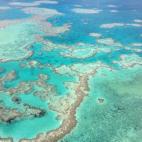 En junio de 1770, el explorador James Cook descubrió la Gran Barrera australiana cuando su barco encalló en ella. Declarada Patrimonio de la Humanidad en 1981, es una de las maravillas naturales más espectaculares del mundo. Bucear, navegarla...