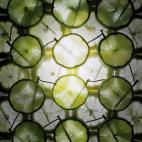 5c8b364520000045047068a8