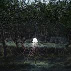 5c8b36462500000704ca506a