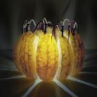 5c8b36472300005300e7d7b5