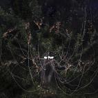 5c8b36482400004205a45c39