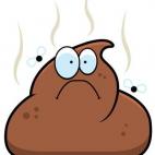 Si hay alguien a quien tengas inquina (por ejemplo, un compañero de trabajo chivato y pelota o el vecino que te despierta los domingos a las siete con sus ruidos) tienes una nueva arma que emplear contra él: enviarle una caca a domicilio. El n...