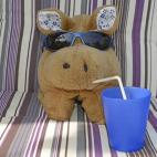 A los japoneses les gustan las cosas monas, por lo que no es extraño que fueran los primeros (y únicos de momento) en organizar vacaciones para peluches. La agencia de viajes Unagi ofrece diferentes recorridos para muñecos. Éstos pueden ser ...