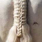 No son extensiones hechas como pelo de caballo sino extensiones para las colas de los caballos. Custom Tails, que lleva 30 años trabajando en la industria equina, lanzó en 1999 una tienda online en la que se puede comprar todo tipo de extensio...