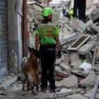 5c8aa95e2400006b054c3522