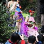 5c8b3b22230000dd04246b21