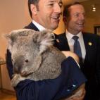 El primer ministro italiano, Mateo Renzi