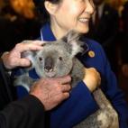 Park Geun-hye, presidenta de Corea del Sur