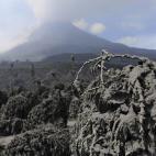 5c8b3c4f240000f7054d2bd1