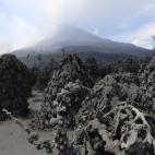 5c8b3c5024000093024d2bd7