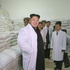 Echando un ojo a esa especie de sacos terrenos, por lo que pueda pasar