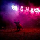 5c8b12033b000070066ce6e1