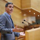 Pedro S&aacute;nchez, durante el debate en el Senado.