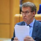 Debate en el Senado entre Sánchez y Feijóo.