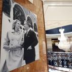 5c8b3d9c230000dd04246f6d