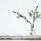 Da&ntilde;os oculares, dermatitis, trastornos digestivos, renales, deshidrataci&oacute;n o dolor abdominal.