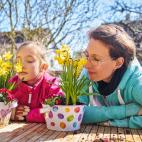 V&oacute;mitos, diarrea y dolor abdominal.