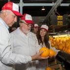 Dos de los pesos pesados del PP andaluz. Los dos -juntos y por separado- nos han dejado grandes imágenes, principalmente en empresas del sector agroalimentario. Hoy Cañete es comisario de la UE y Arenas tiene despacho en Génova, pero sigue si...