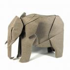 Nguyễn Hùng Cường