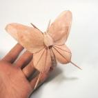 Nguyễn Hùng Cường