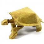 Nguyễn Hùng Cường