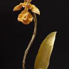 Nguyễn Hùng Cường