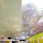 5c8b392d3b000070066d424c