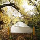 5c8b392d230000d5042467b2